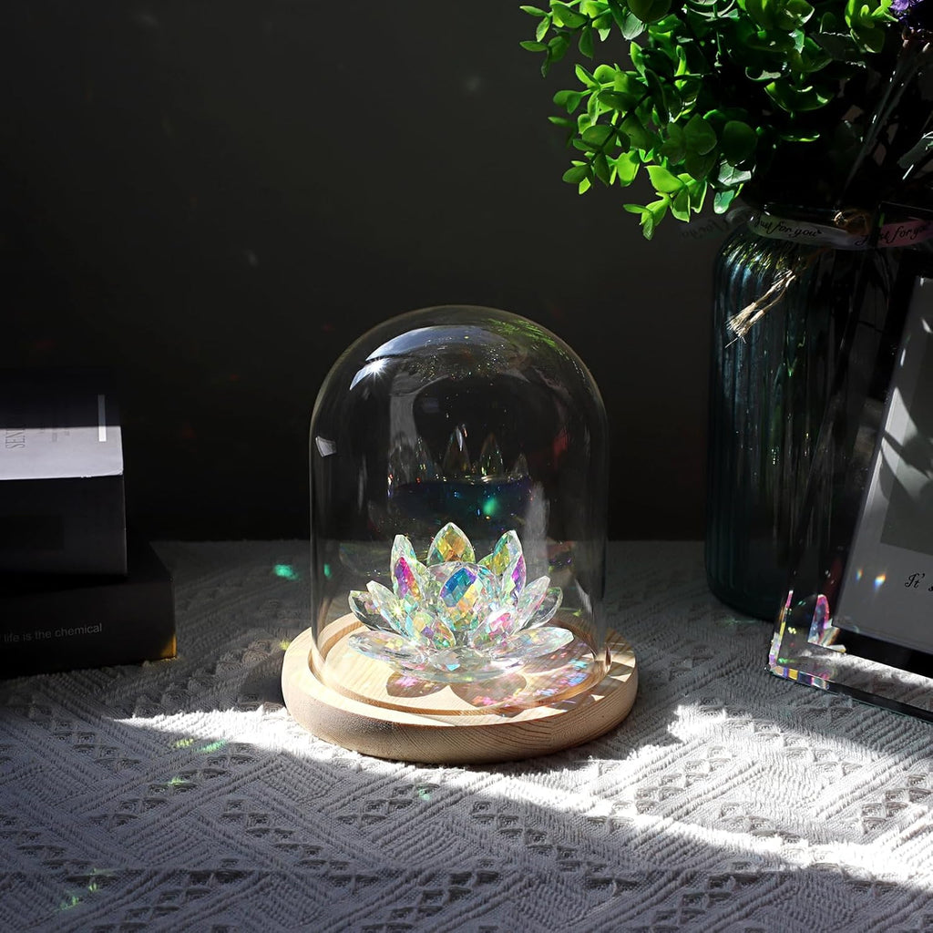 JUXYES Clear Glass Display Dome Cloche with Solid Wood Base, Transparent Dome Cloche Bell Terrarium Jar Glass Dustproof Display Stand for Plants, Collectibles and Figurines