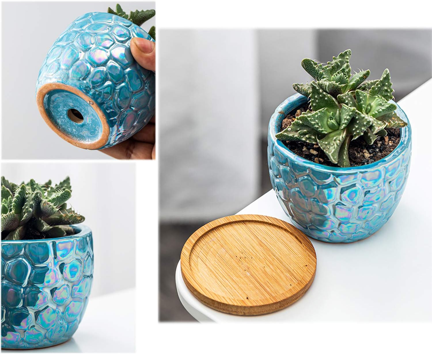 3.5 Inches Ceramic Succulent Planters, Colorful Bonsai Pots for Window Desk Home Decor with Bamboo Trays