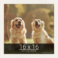wallsthatspeak 16x16 White Picture Frame for Puzzles Posters Photos or Artwork
