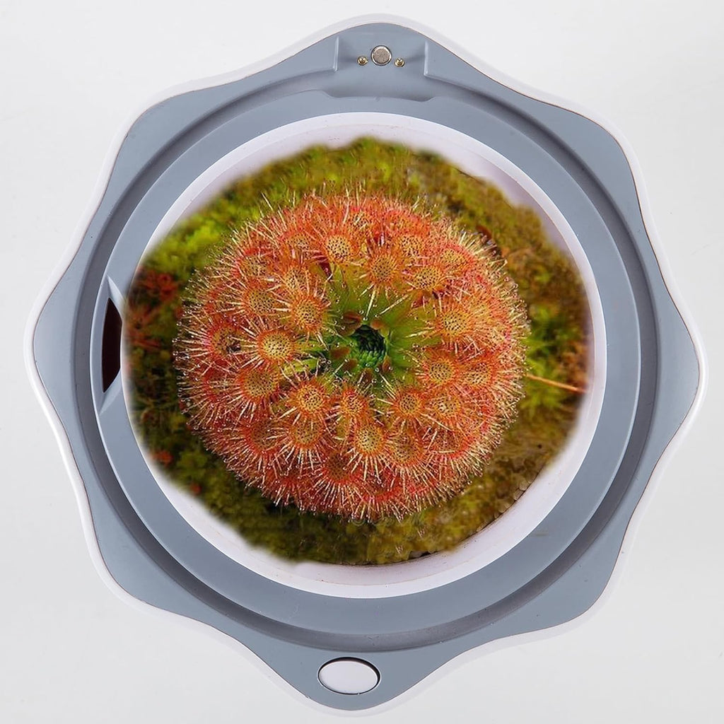 Venus Fly Trap Terrarium Pot with Timer Grow Light & Fan, Smart Planter for Succulents Butterwort, Carnivorous Plants Pot, Christmas Birthday Gifts for Women Garden Lover (no Plant)