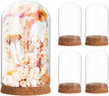 Cloche Glass Dome with Base - 5pcs Tabletop Centerpiece Bell Jar Showcase Terrarium Display Cover with Cork Base for Gold Rose Micro Landscape Flower Plant Preserved - 3. 9x2. 4in