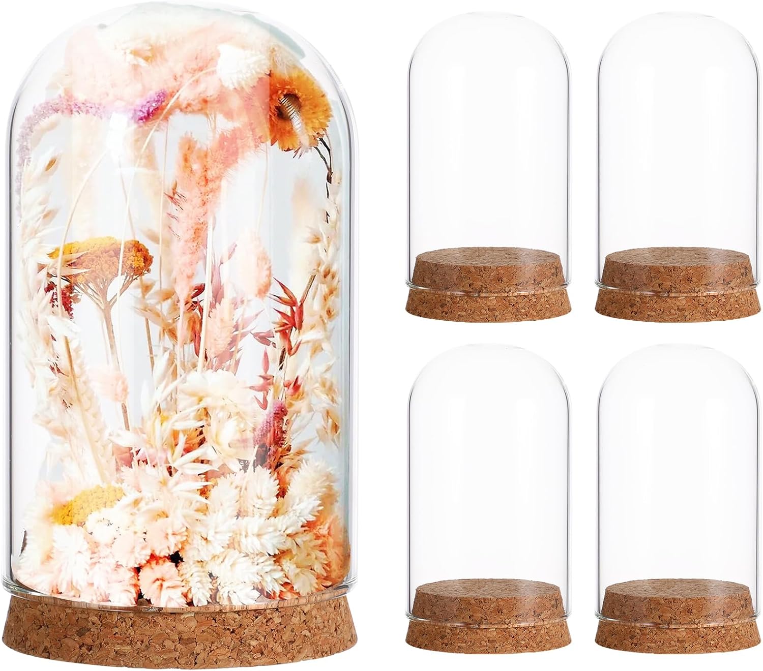Cloche Glass Dome with Base - 5pcs Tabletop Centerpiece Bell Jar Showcase Terrarium Display Cover with Cork Base for Gold Rose Micro Landscape Flower Plant Preserved - 3. 9x2. 4in