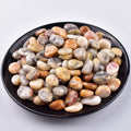 Polished Crazy Lace Agate Crystal Chips Set, 0.4", 128 Pcs - 10 Oz Handpicked Tumbled Stones and Crystals Bulk for Healing, Reiki, Meditation, Witchcraft and Home Decor