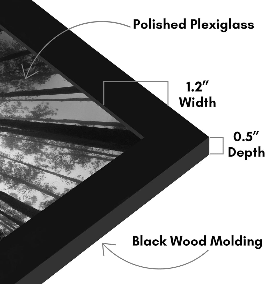 Americanflat 21x28 Poster Frame with Polished Plexiglass - Black Picture Frame - Wide Photo Frames Made of Engineered Wood for Vertical or Horizontal Wall Display - Epic Collection - Black