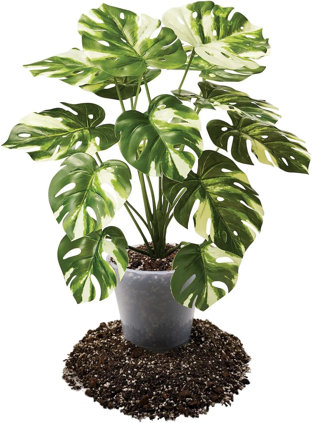 Premium Aroid Potting Mix - Soil Free Blend for Aroids - Growing Medium for House Plants by Gardenera - (3 Quart Bag)