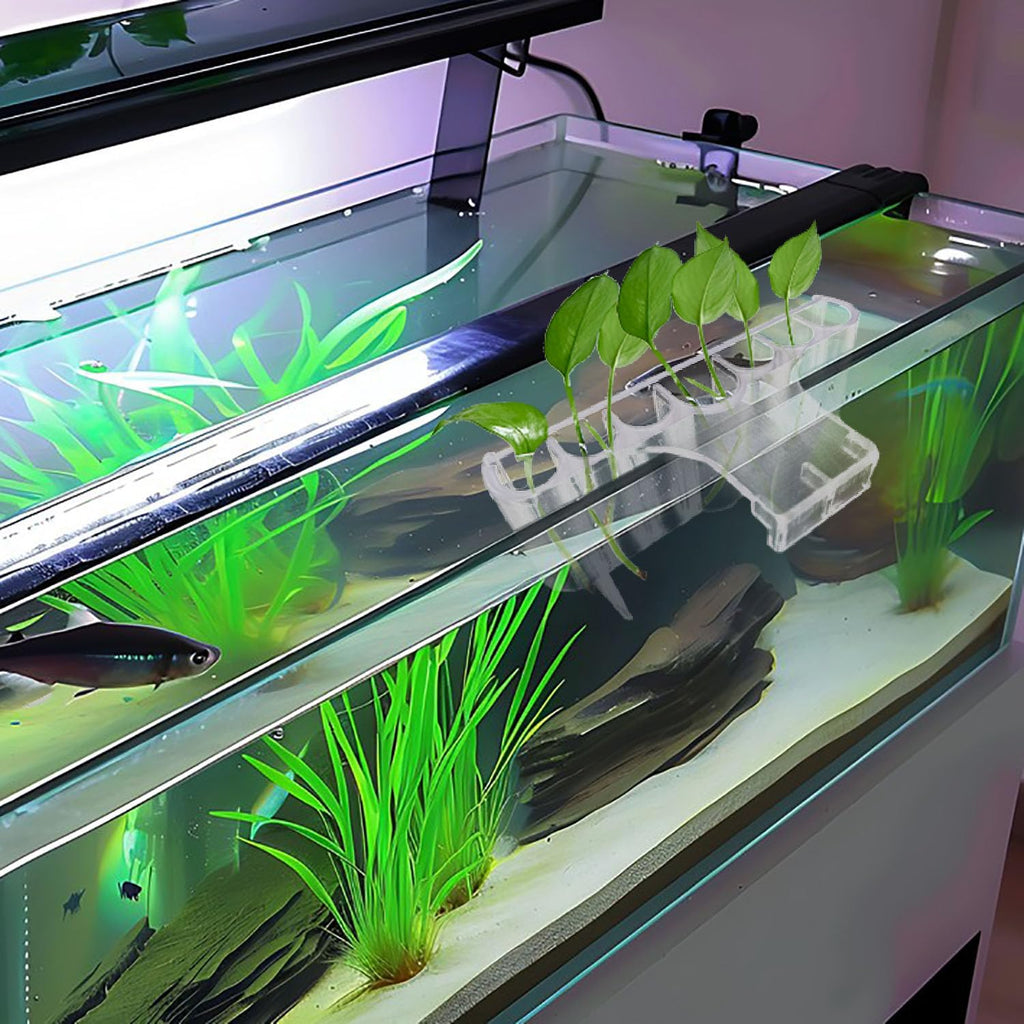 2 Pack 7-Hole Aquarium Plant Holder with Long Hook - Hanging Aquatic Plant Pot for Fish Tank, Versatile Plant Holder - Ideal for Aquascape Decorations on Top of Tank (Transparent)