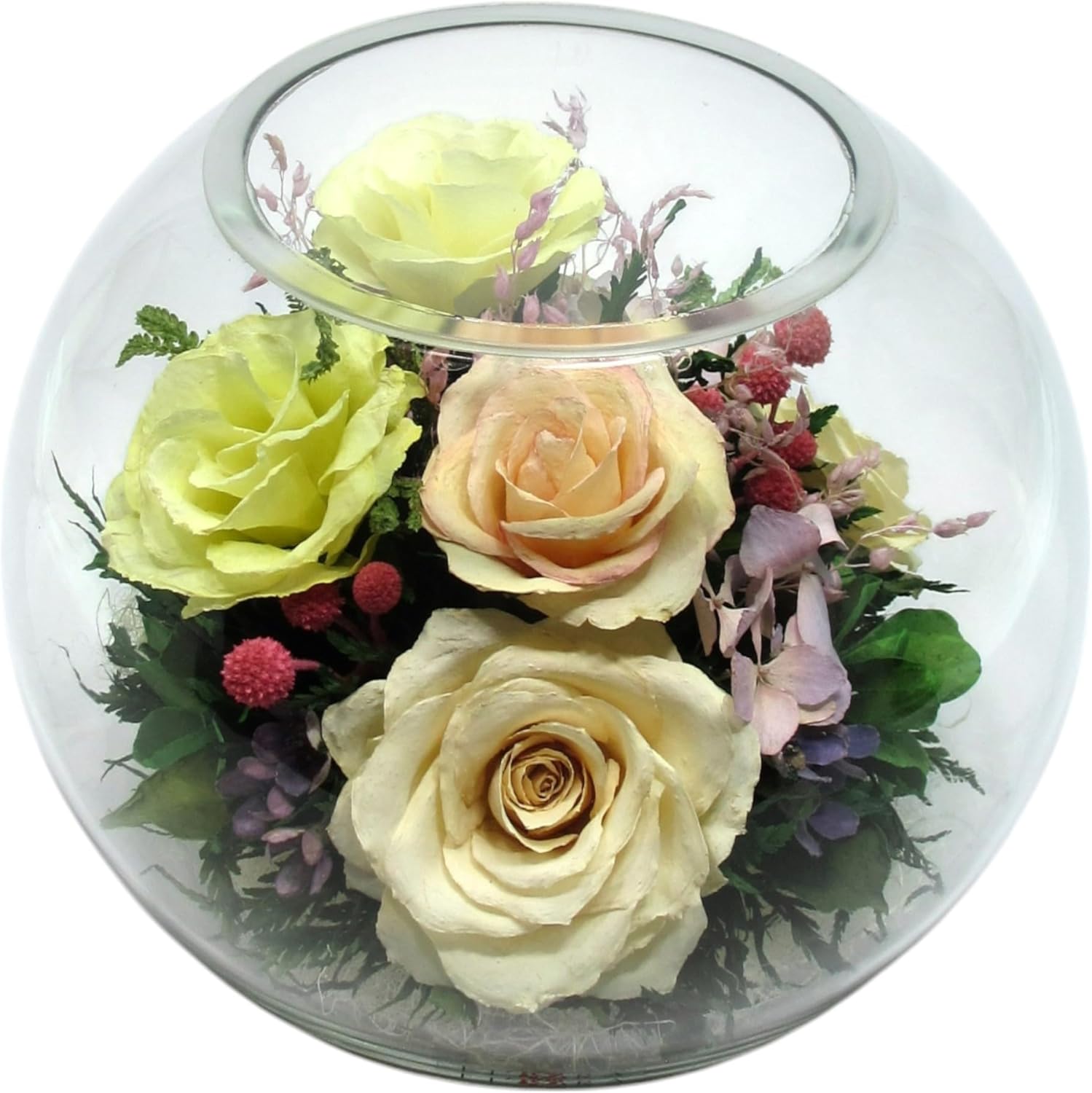 Fiora Flower | Preserved Roses & Floral Arrangement in Sealed Glass Vase | Lasts up to 5 Years | Elegant Gift for Weddings, Birthdays, and Anniversaries (Pastel)