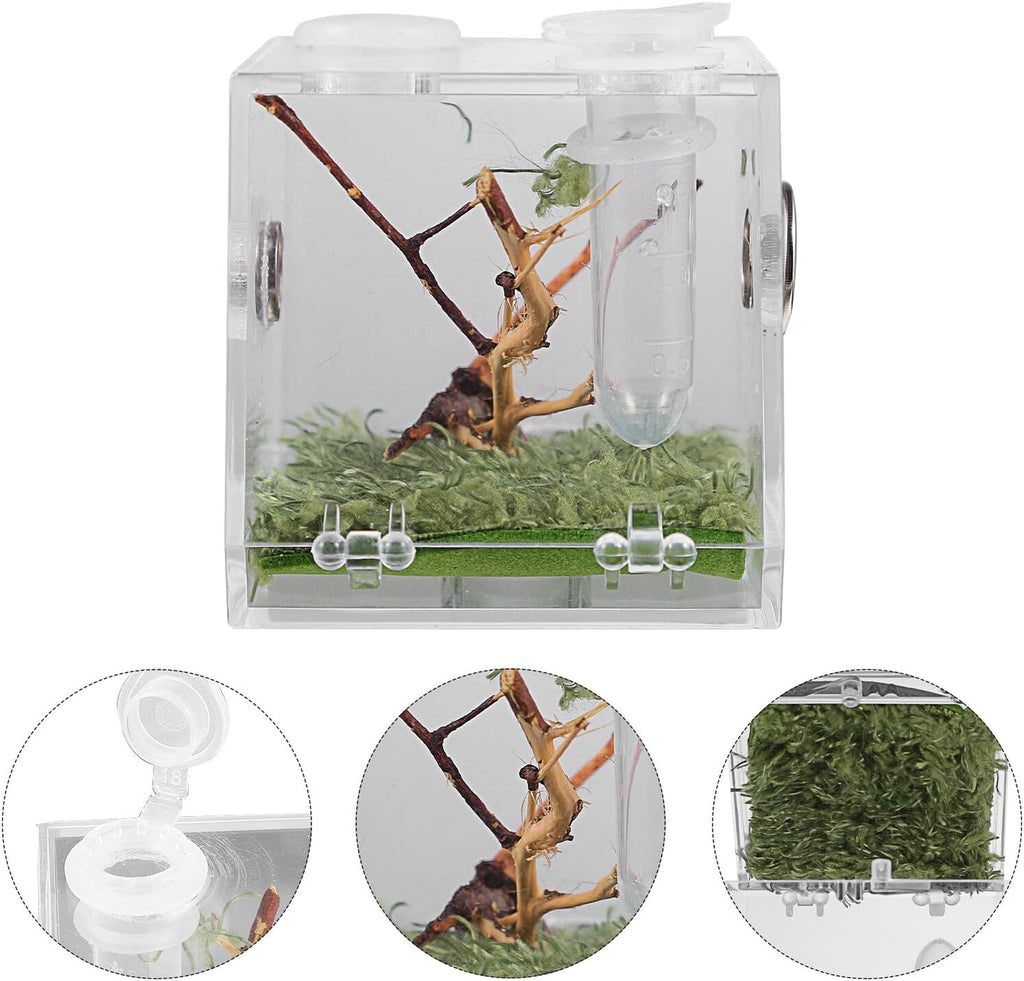 COHEALI Reptile Breeding Box Small Portable Acrylic Spider Terrarium with Dropper and Forceps Transparent Moisture- Enclosure for Small Crawling Insects and Jumping Pets