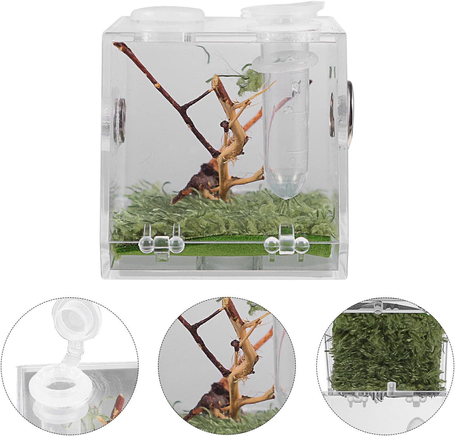 COHEALI Reptile Breeding Box Small Portable Acrylic Spider Terrarium with Dropper and Forceps Transparent Moisture- Enclosure for Small Crawling Insects and Jumping Pets