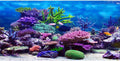 AWERT 24x12 inches Vinyl Underwater Theme Aquarium Background Colorful Coral Tropical Fish Undersea World Fish Tank Background