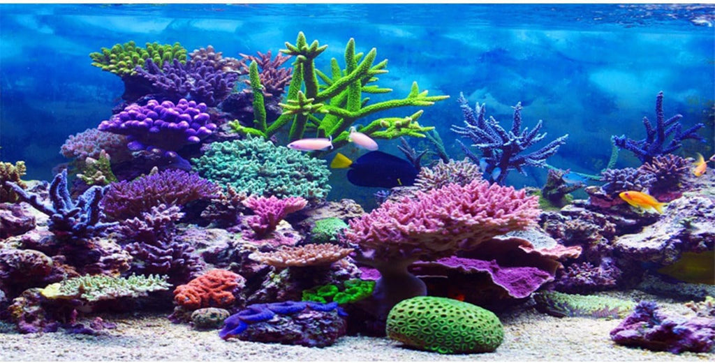 AWERT 24x16 inches Vinyl Underwater Theme Aquarium Background Colorful Coral Tropical Fish Undersea World Fish Tank Background