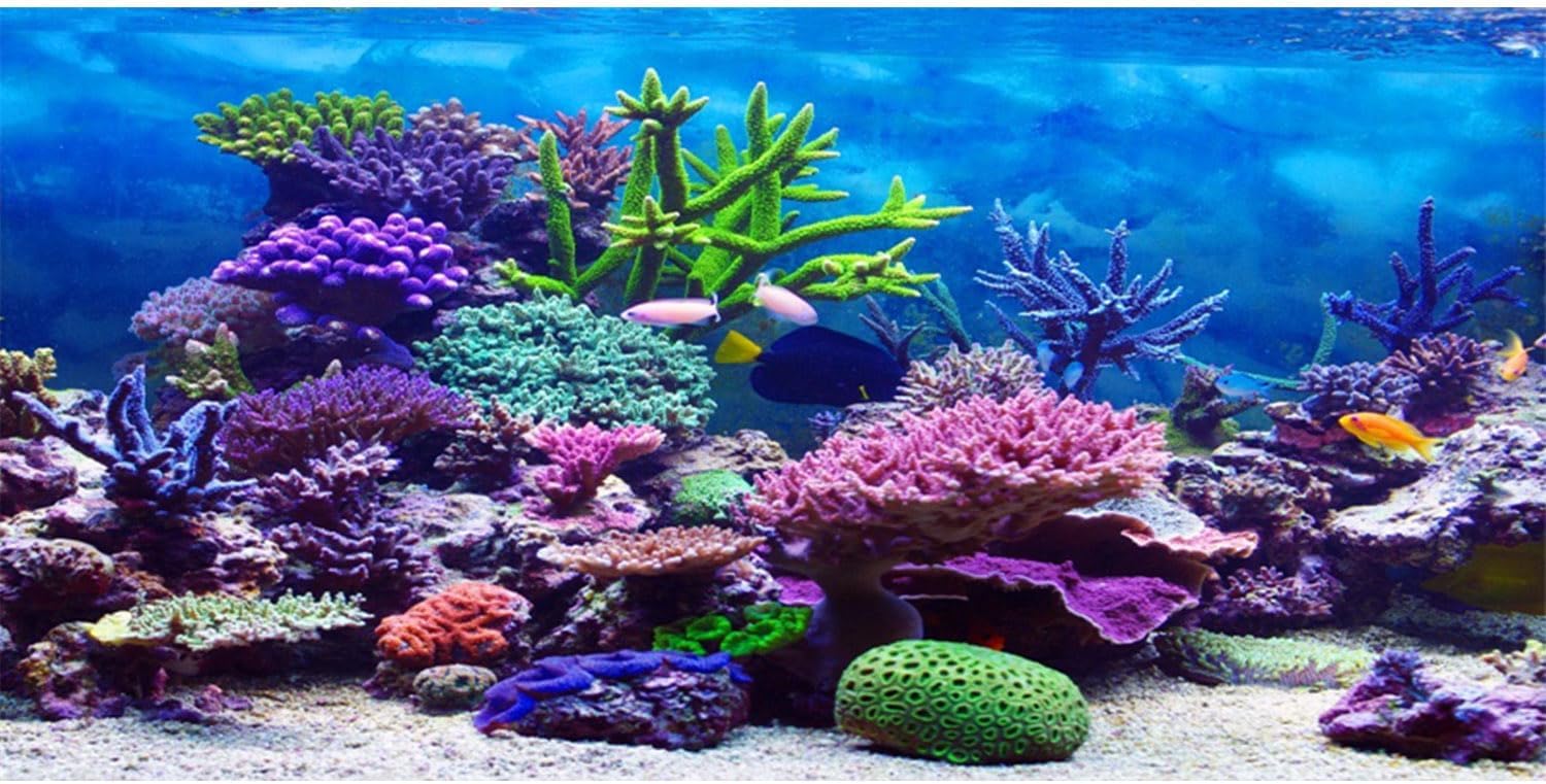 AWERT 24x16 inches Vinyl Underwater Theme Aquarium Background Colorful Coral Tropical Fish Undersea World Fish Tank Background
