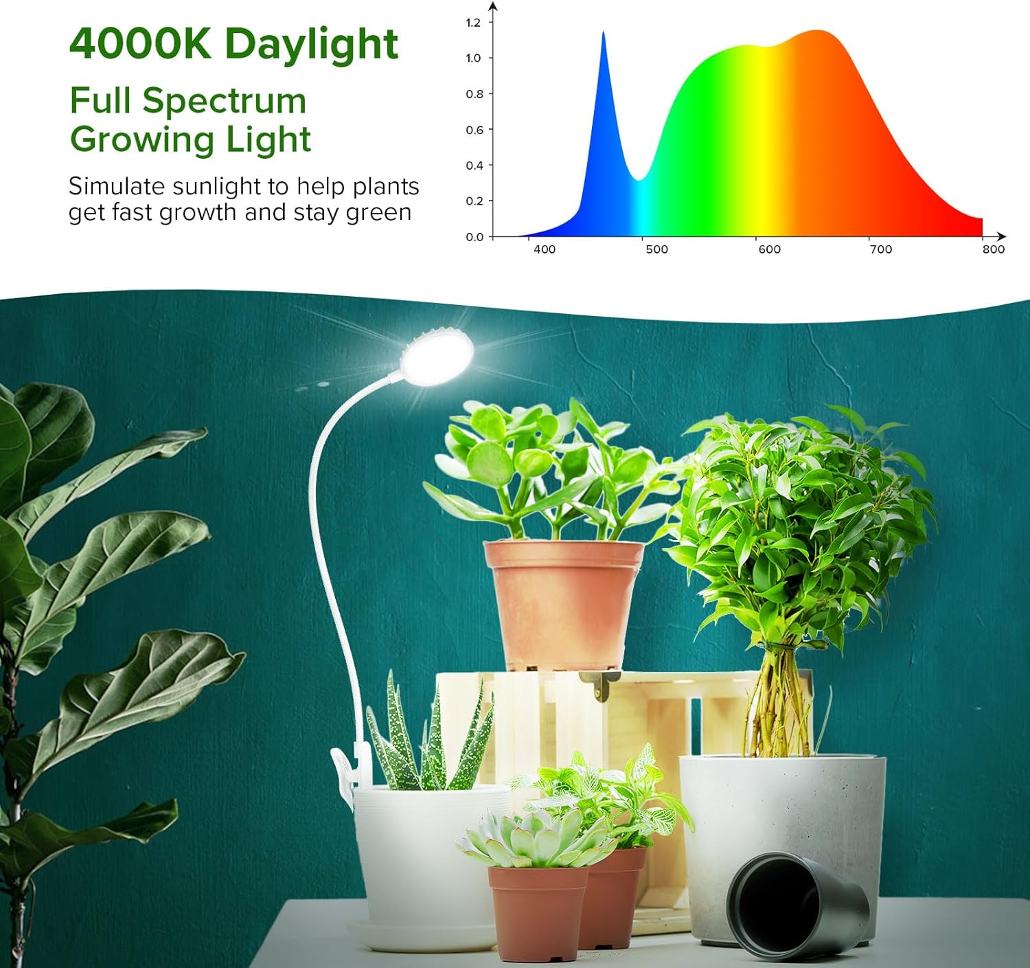 Grow Light, Full Spectrum LED Plant Light for Indoor Plants, 10W Clip On Growing Lamp with Auto On/Off Timer 3/6/12H, 4 Dimmable Brightness, Ideal for Indoor Growing