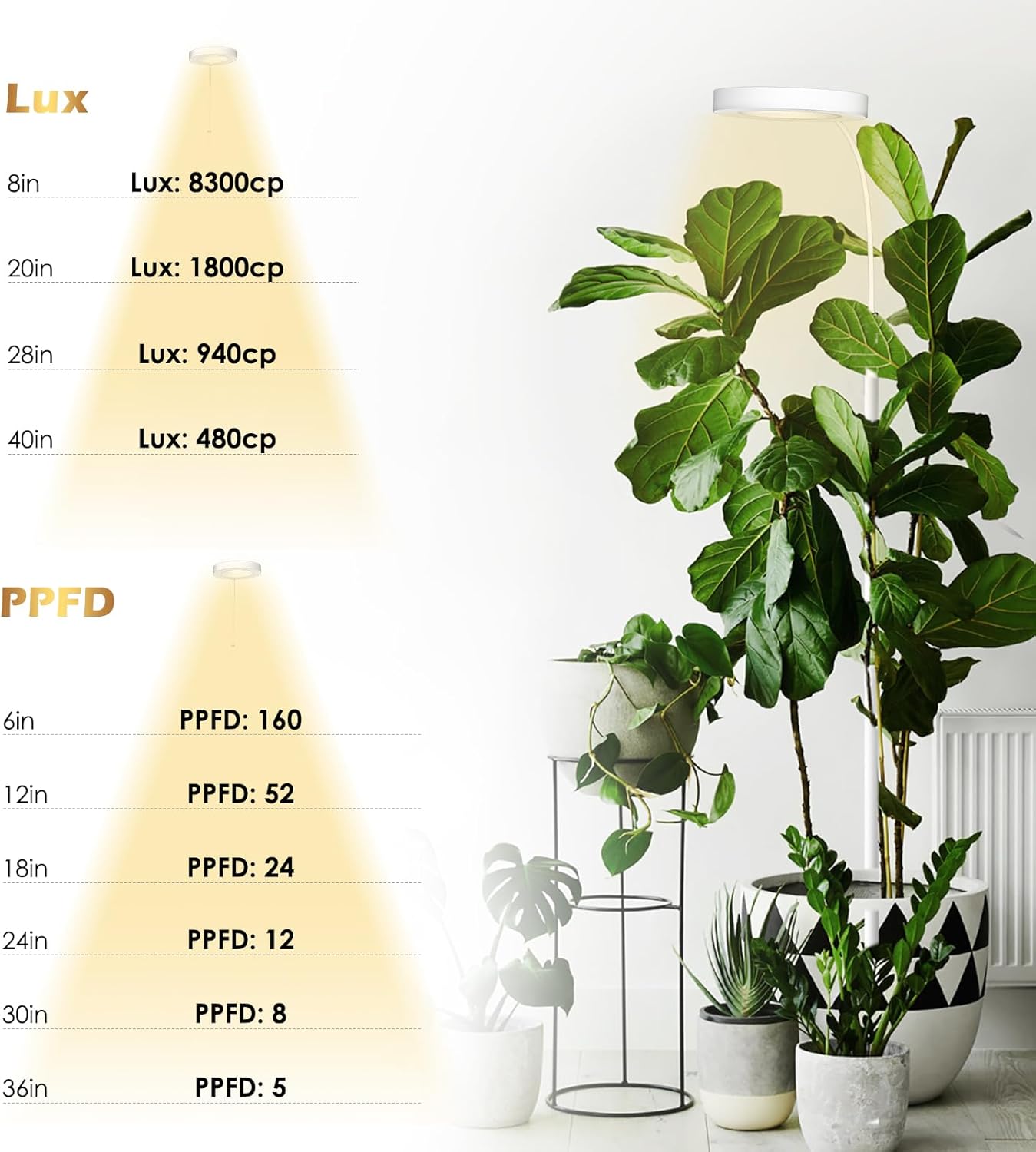 GLOWRIUM Grow Lights for Indoor Plants, Full Spectrum LED Grow Light Floor Lamp with Stand Adjustable Height and Angle, Black Plant Light with 3/9/12H Grow Light Timer (White, 20W)