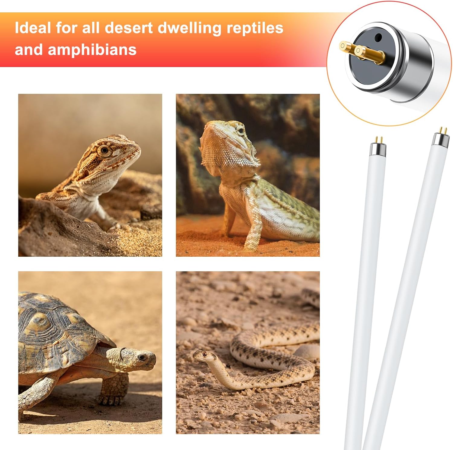 LUCKY HERP 2 Pack T5 UVB 10.0 Reptile Light 8W, UVA UVB Fluorescent Lamp Tube, UVB Lighting Bulb for Turtles, Chameleon, Tortoises, Lizard