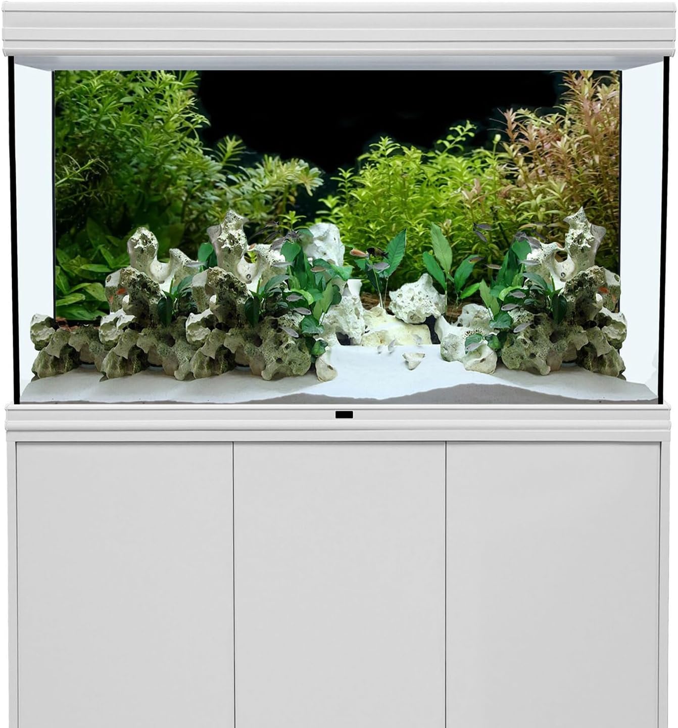 AWERT Aquarium Background River Bed & Lake Aquatic Plant Fish Tank Background Vinyl 24x12 inches