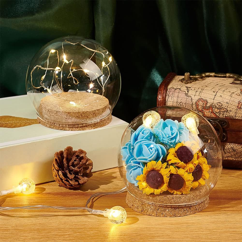 NBEADS 2 Sets Round Glass Display Dome, Mini Glass Cloche Dome Clear Glass Plant Terrarium Decor with Cork Base 3.94" in Diameter Jar Cloche for Flower Aquarium Christmas Party Office Home Decor