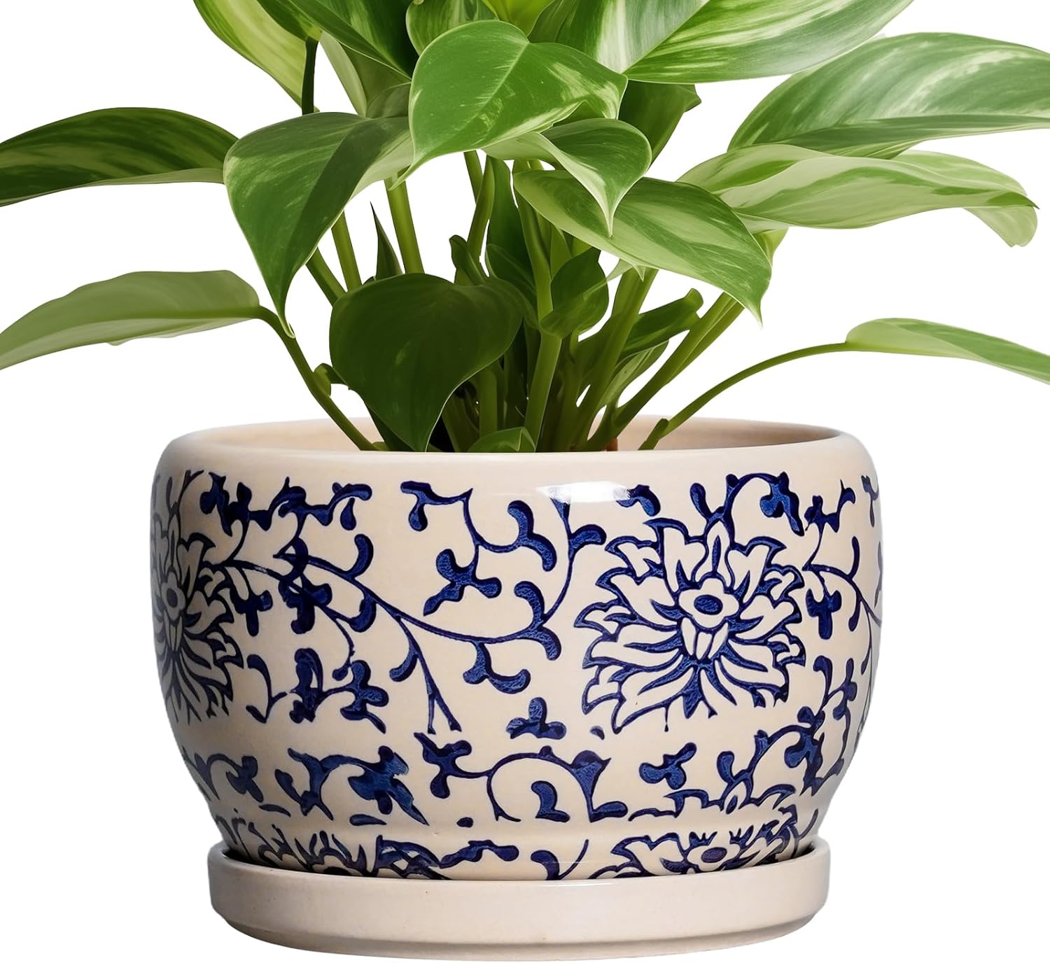 SQOWL Ceramic Planters for Indoor Plants - 8 inch Plant Pot with Drainage Hole and Saucer, Decorative Flower Pot Outdoor, Porcelain Round Planter, Living Room Decor, Gardening Gifts, Blue and Beige