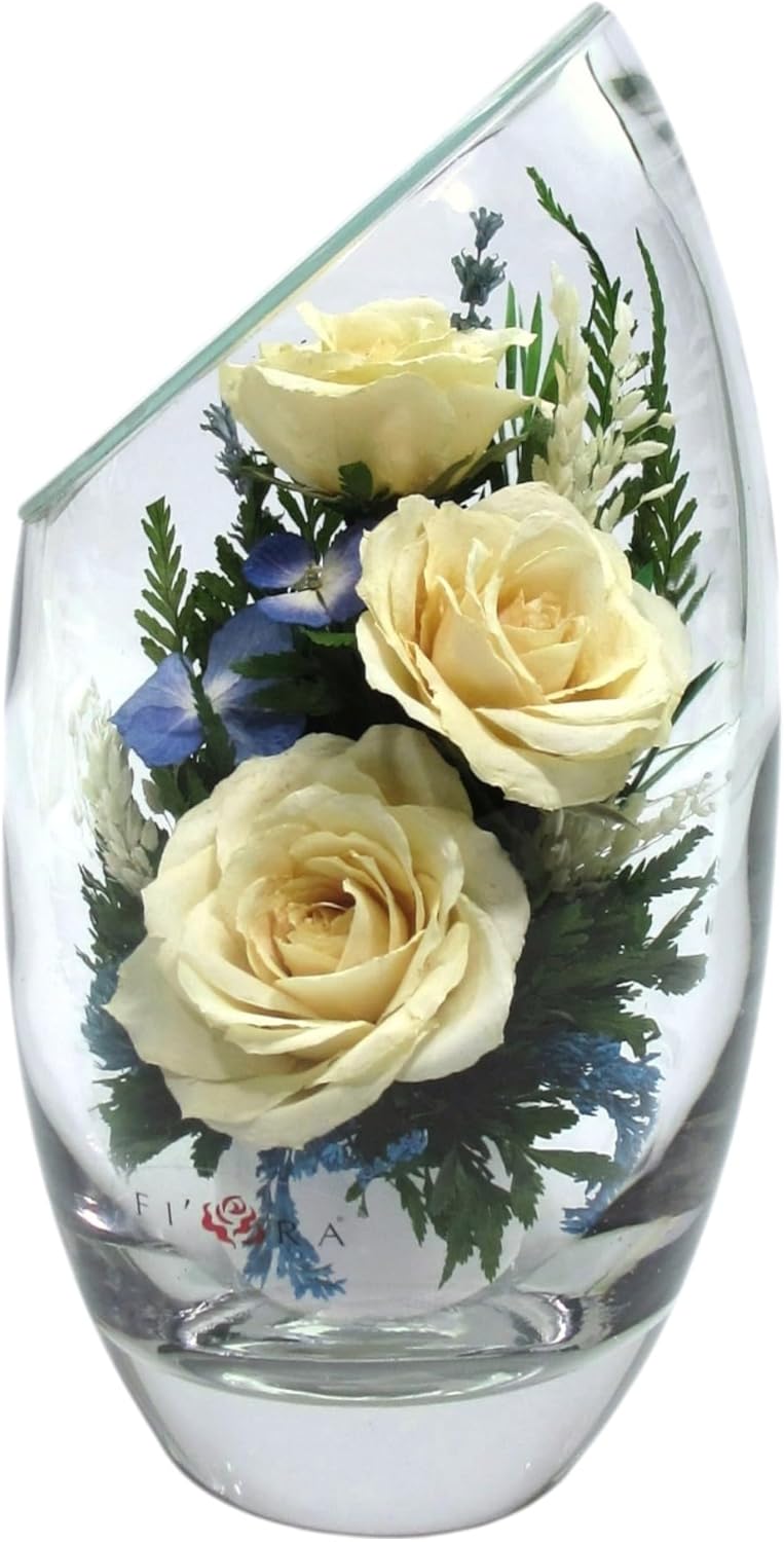 Fiora Flower | Preserved Roses & Floral Arrangement in Sealed Glass Vase | Lasts up to 5 Years | Elegant Gift for Weddings, Birthdays, and Anniversaries (Cream)