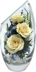 Fiora Flower | Preserved Roses & Floral Arrangement in Sealed Glass Vase | Lasts up to 5 Years | Elegant Gift for Weddings, Birthdays, and Anniversaries (Cream)