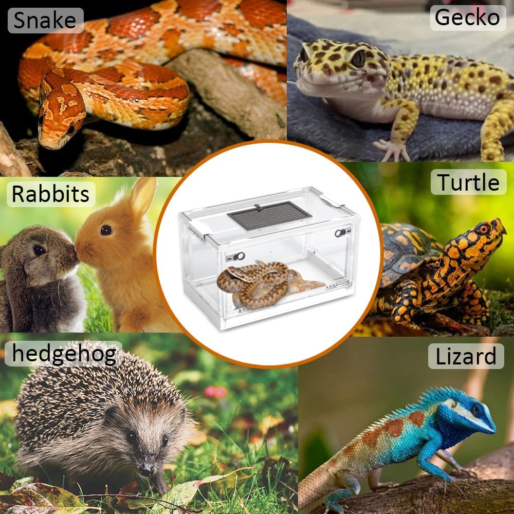 Large Snake Reptile Tank Amphibians Habitat Cages Sliding Screen Top for Lizard,Gecko, Frog, Hamster,Hermit Crab Animals(21.65"x12.6"x12.2") (White)