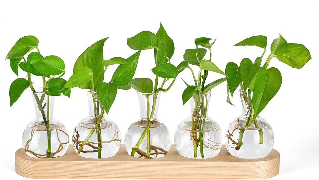 Mkono Desktop Plant Propagation Glass Vase Station Retro Terrarium with Wooden Tray Bulb Flower Container Perfect for Propagating Hydroponic Plants Home Office Decor Lover Gift Idea, Beige (YYBL0035)