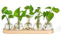Mkono Desktop Plant Propagation Glass Vase Station Retro Terrarium with Wooden Tray Bulb Flower Container Perfect for Propagating Hydroponic Plants Home Office Decor Lover Gift Idea, Beige (YYBL0035)