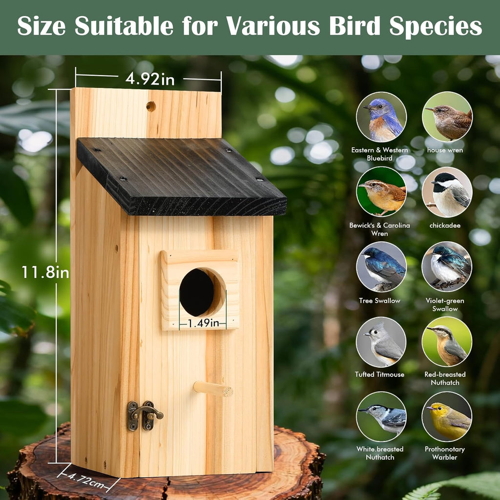 2 Pack Bird Houses for Outside – Cedar Outdoor Bird House with Stand, Quick & Easy Assembly, Ideal for Bluebird, Finch, Wren & Chickadee