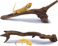 BNOSDM 2PCS Snake Climbing Branches,Reptile Natural Coral Driftwood Branches Decor,Lizard Habitat Decoration Accessories, Terrarium Tree Trunk Ornament for Bearded Dragon Gecko Frog Chameleon Spider