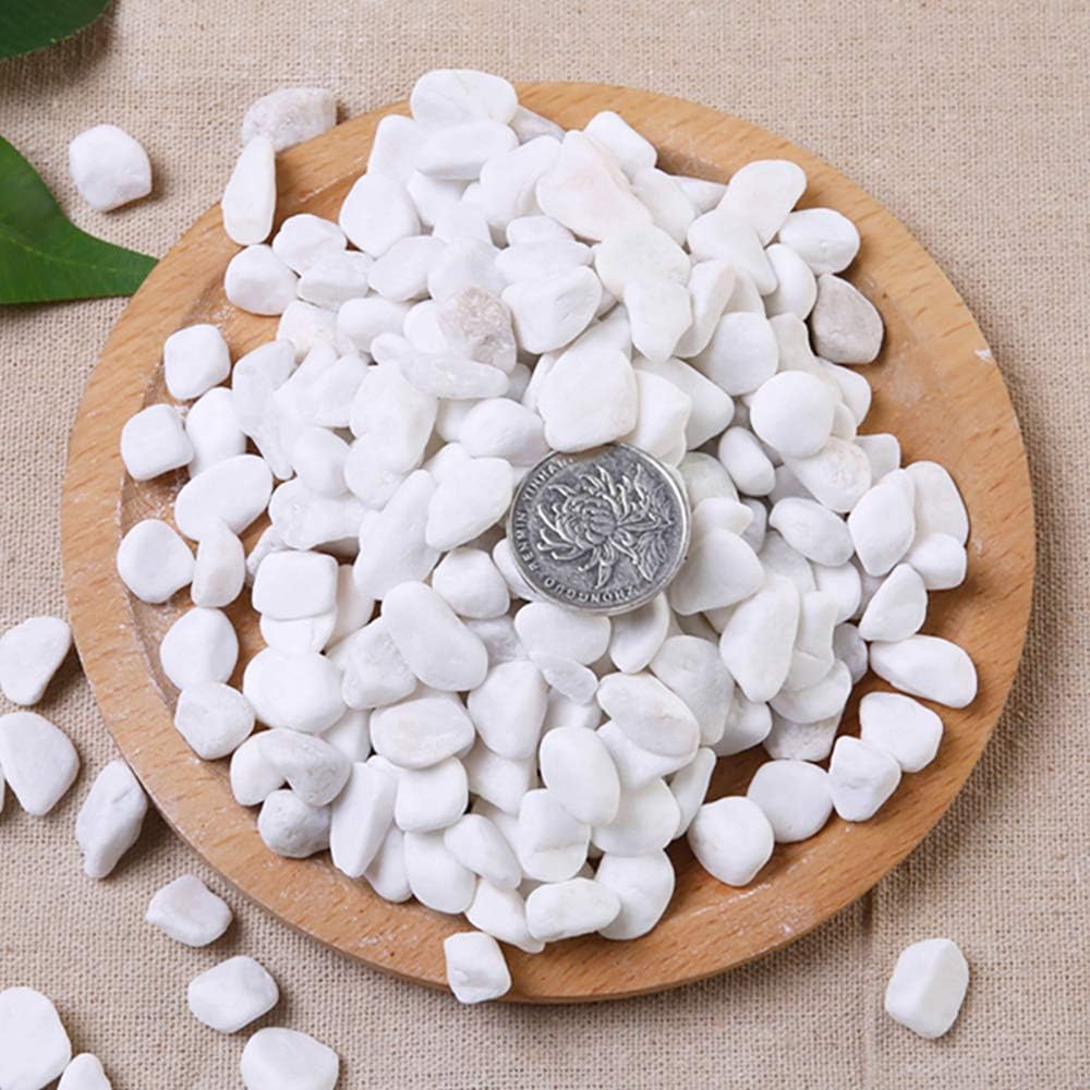 WAYBER 1 Lb/460g White Stones Decorative Pebble Rock Sand for Aquarium/Fish Turtle Tank/Vase Filler/Succulent Plants Decoration (Fill 1 Cup)