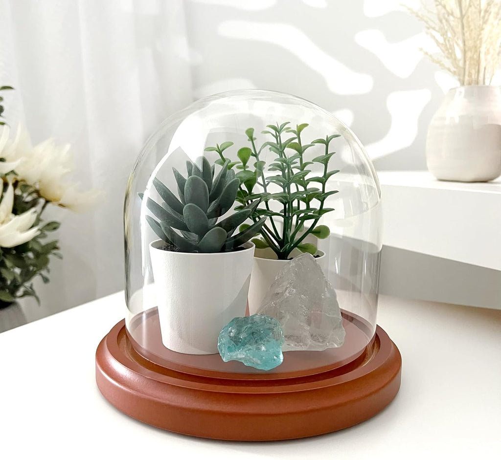 Plymor 5.5" x 5.5" Glass Display Dome Cloche (Walnut MDF Base)