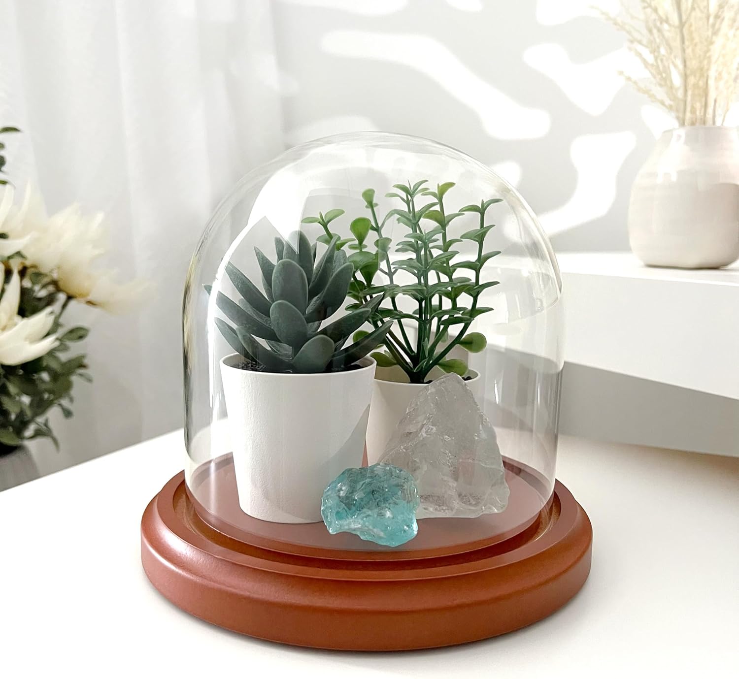 Plymor 5.5" x 5.5" Glass Display Dome Cloche (Walnut MDF Base)