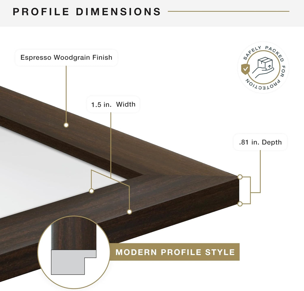 MCS Museum Poster Frame 18x24 Espresso Woodgrain, Vertical & Horizontal Wall Hanging Large Picture Frame for Photos, Posters & Art Prints (1-Pack)
