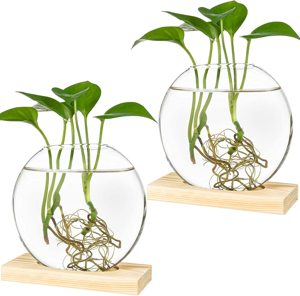 Kingbuy Round Glass Desktop Planter with Wooden Stand - Propagation Vase for Hydroponic Plants, Spider Plants, Pothos in Home Office Decor, 2-Pack, Beige