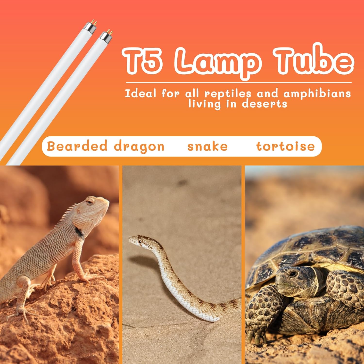 T5 UVB Reptile Light 24W 10.0,UVA UVB Light Bulb for Reptiles,2 Pack Reptile UVB Lamp Tube for Bearded Dragon
