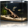 3 Gallon Glass Fish Tank Cube, Small Aquarium Fish Bowl for Betta Goldfish Snails Shrimp Aquatic Planting, Easy to Maintain Ultra Clear Rimless Design for Desktop Small Spaces