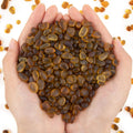 QEQEKAKA Sea Glass Stones for Crafts About 1LB (405g/14.28oz) Brownish Yellow Glass Pebbles Gemstones Bulk for Aquarium Rocks Fish Tank Gravel Green Filler for Vases Centerpieces