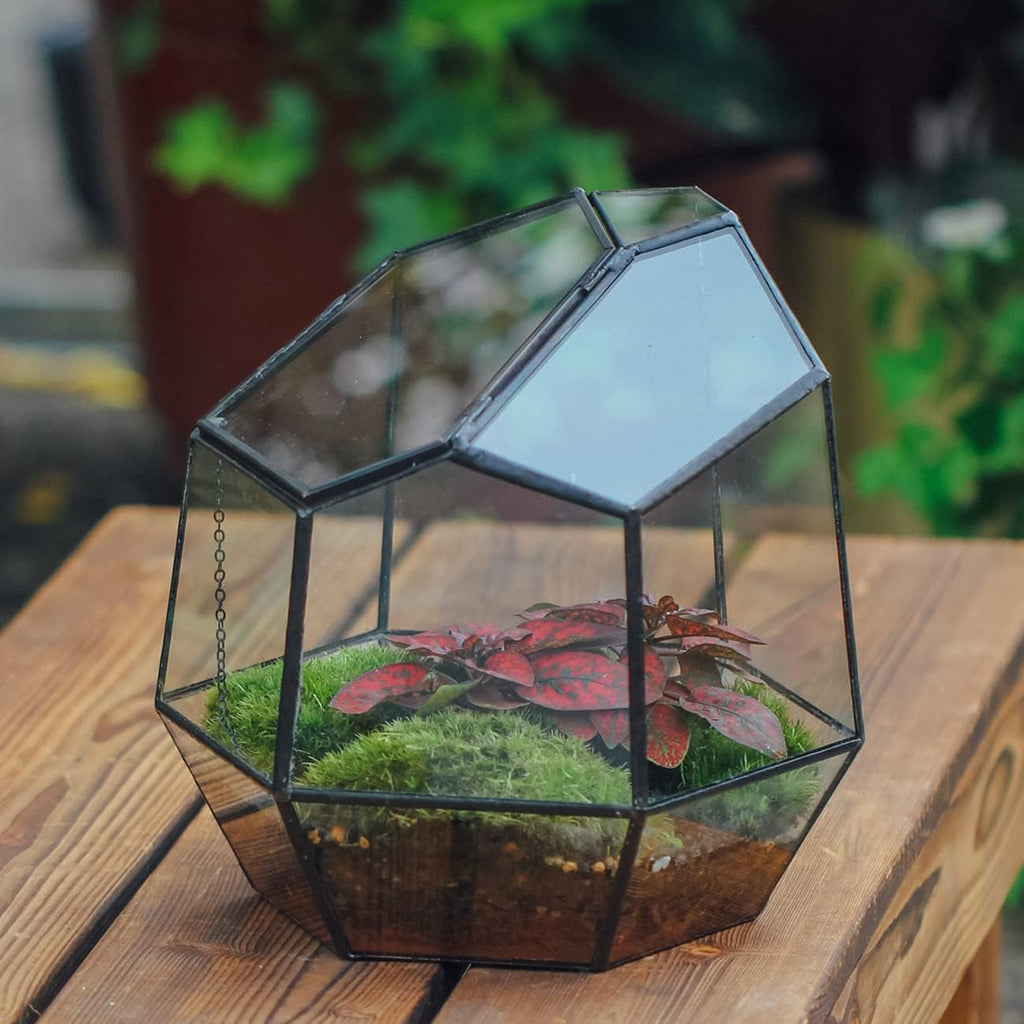 NCYP Handmade 7.5inches Small Close Geometric Terrarium with Door, Black Irregular Glass Planter, Modern Succulent Cacti Flower Pot, Home Garden Decor DIY Gift (Plants and Props NOT Included)