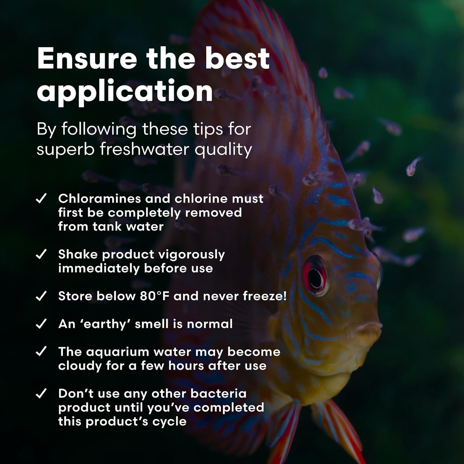Brightwell Aquatics MicroBacter Start XLF - Concentrated Freshwater Nitrifying Bacteria - Quick Start Fish Tank Starter, Lift Microbe Levels & Water Filtering - Aquarium Water Treatments, 16.9 fl oz