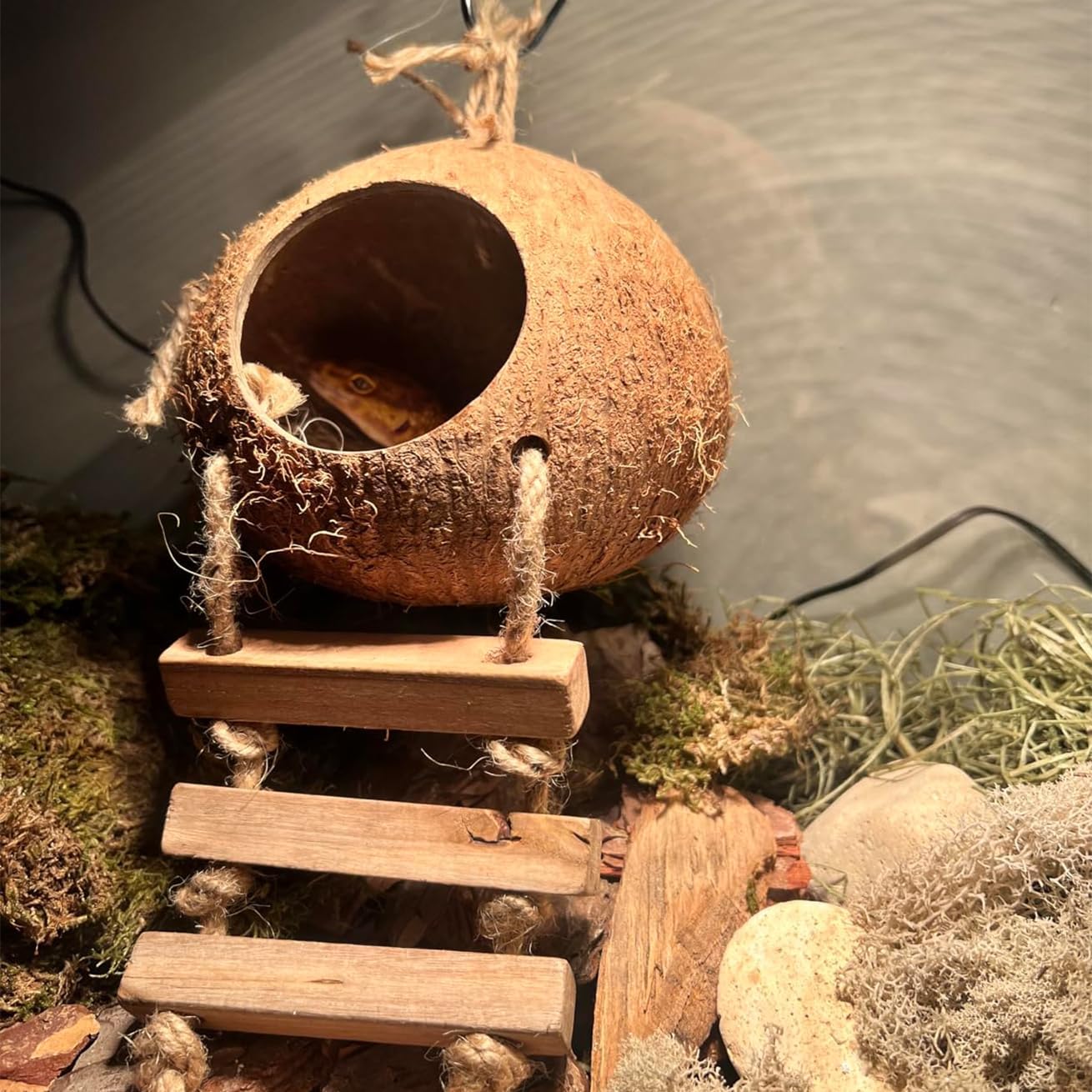 Crested Gecko Coconut Hide with Ladder,Reptile Natural Coco Shell Ladders Geckos Hideout Hut Lizards Hermit Habitat Leopard Gecko Terrarium Plant Accessories for Chameleon Snakes