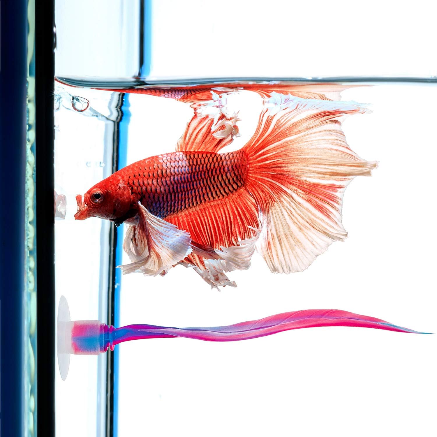 WILLBOND 2 Pieces Silicone Betta Fish Bed Leaf Hammock Betta Fish Tank Accessories, Practical Resting Spot, No Bpa, Comfortable and Safe