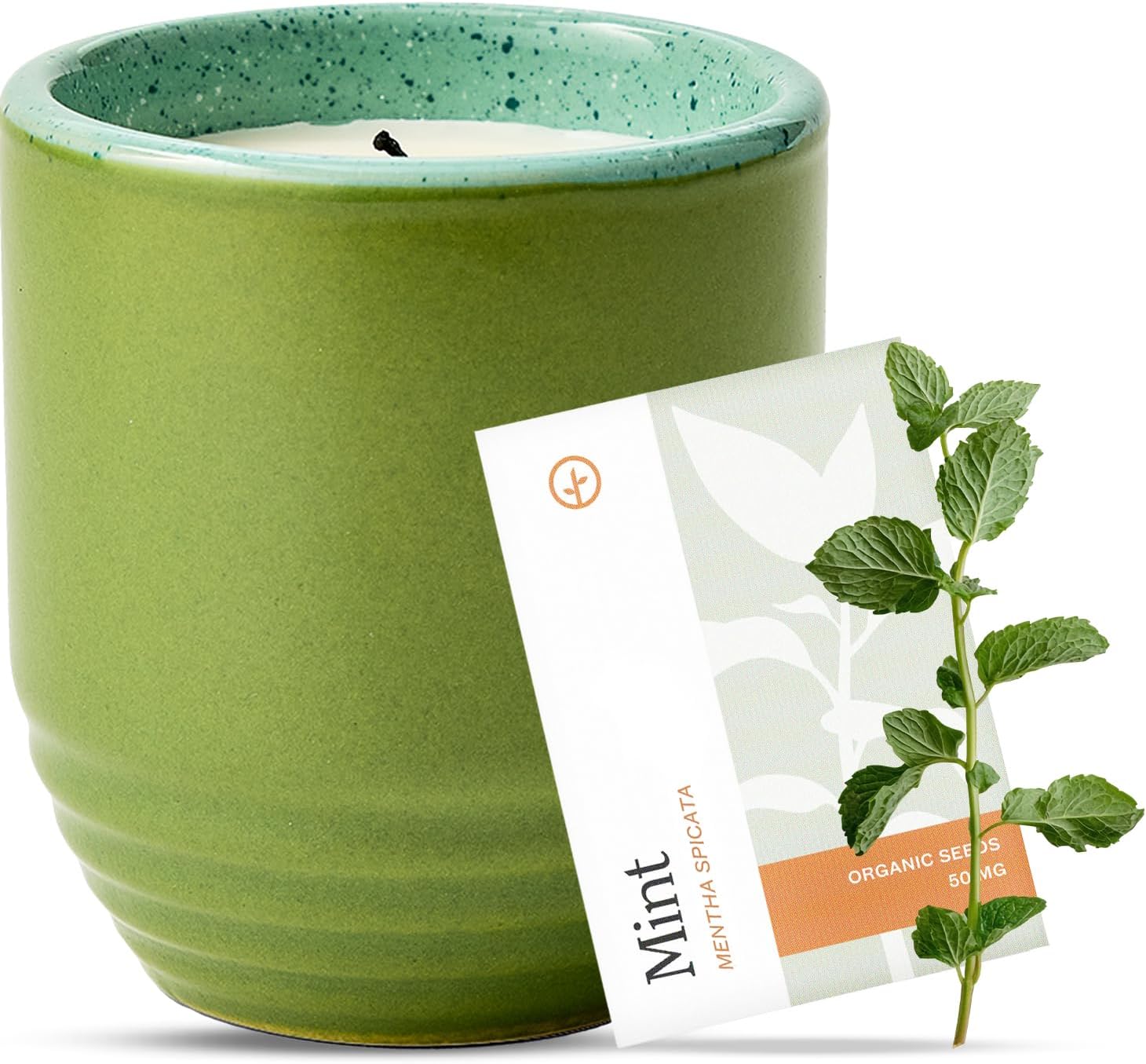Modern Sprout Garden Vibes 2-in-1 Soy Candle & Planter - in The Weeds (Eucalyptus, Pink Pepper, Patchouli, Citrus) 6 Oz Scented Candle w/Mint Seeds - Ceramic Vessel Dual Purpose Jar - 38-40 Hour Burn