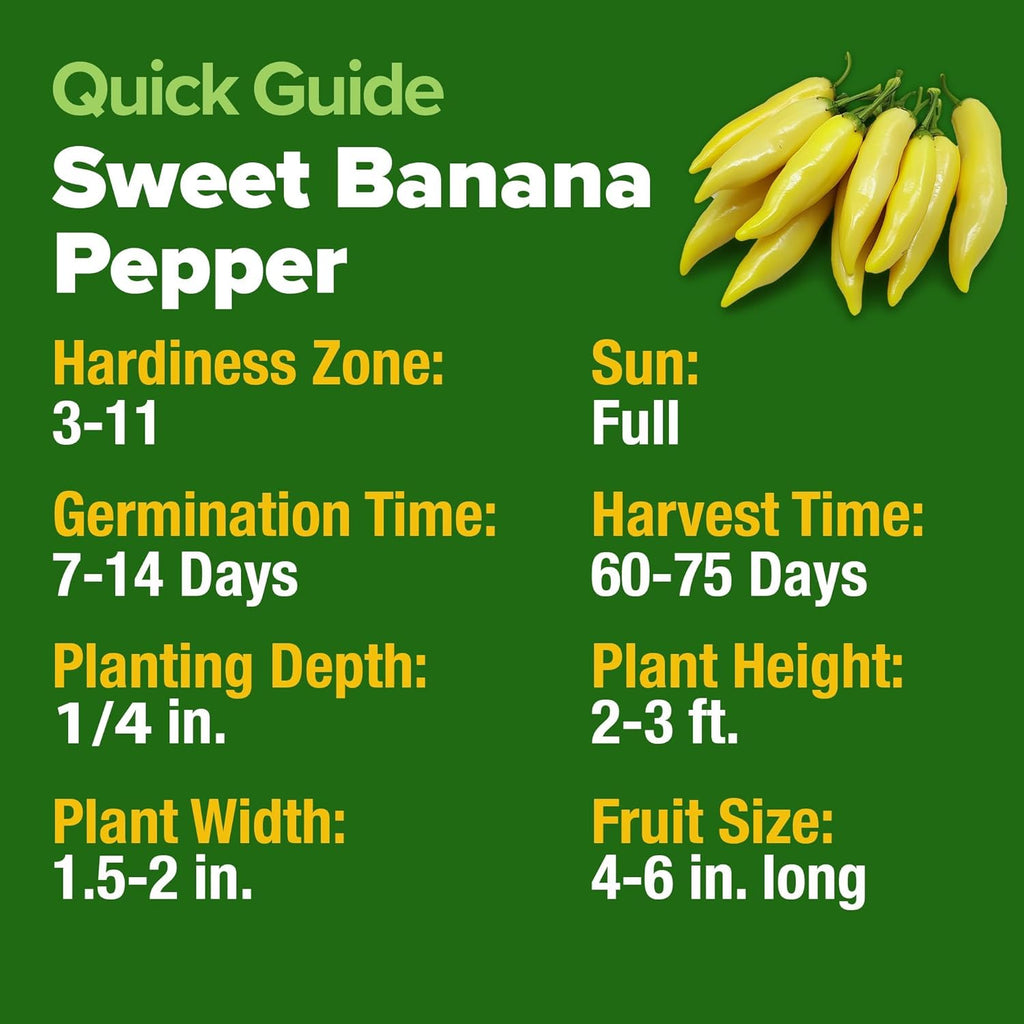 HOME GROWN Banana Pepper Seeds 2 Pack (Capsicum annuum) – 188 Heirloom Seeds, High Germination Vegetable Seeds – Growing Sweet Banana Peppers Indoors or Garden