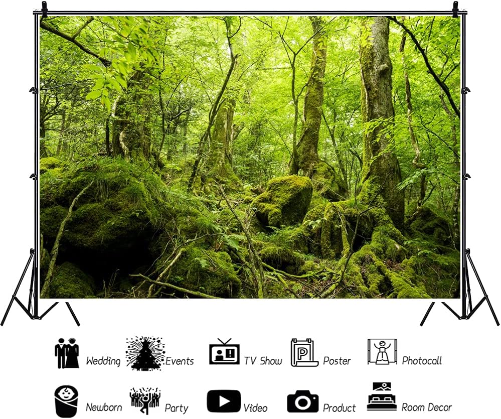 OERJU 5x4ft Peaceful Natural Scenery Backdrop Evergreen Forest Rustic Landscape Sunshine Tree Photography Background Kids Birthday Party Banner Adventure Theme Polyester Studio Props Portrait Photo
