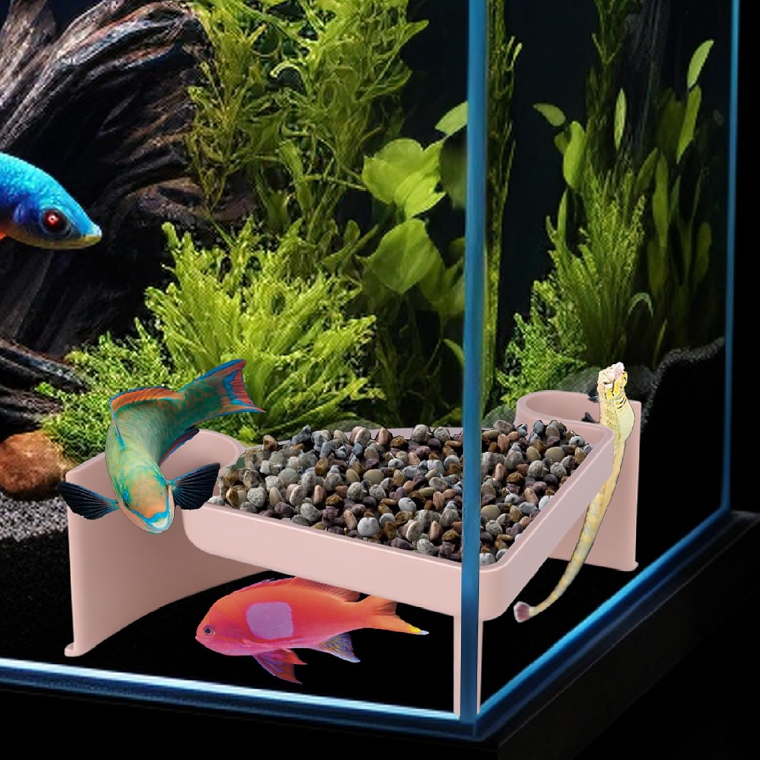Aquarium Cave Hideout with Viewing Window – Corner Fish Tank Tunnel for Pleco, Cory Catfish, Kuhli Loach, Shrimp, Betta – 2-Hole Plastic Bottom Dweller Shelter – Fish Hiding Spot Decor (5"x5"x2")