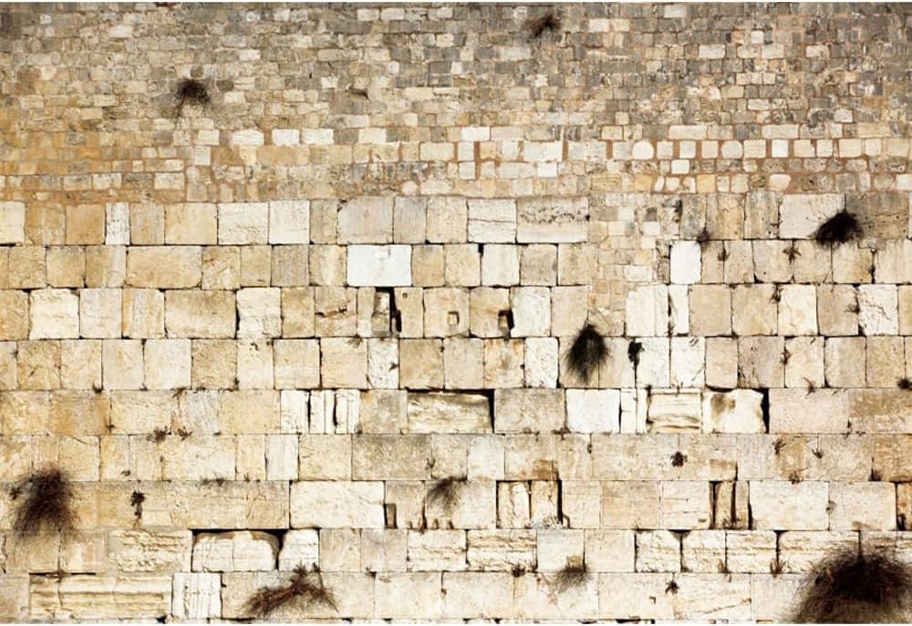 Jerusalem Wailing Wall Israel Ancient Cityscape Backdrop - Historical Site Western Wall Old City for Theme Portrait Photography Background 20x10ft Banner Photo Studio Props
