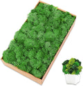 Preserved Reindeer Moss 7 OZ Green Natural for Crafts, DIY Gift Christmas Decor, Wall Art, Potted Plants, Floral Fake Moss for Easter Table Decor Wedding Decorative(7oz, Green)