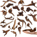 Tfwadmx Natural Small Coral Driftwood for Aquarium Decor 26 Pcs 4-5" Fish Tank Decorations Reptile Decor Assorted Driftwood Branch Reptile Tank Wood Decor