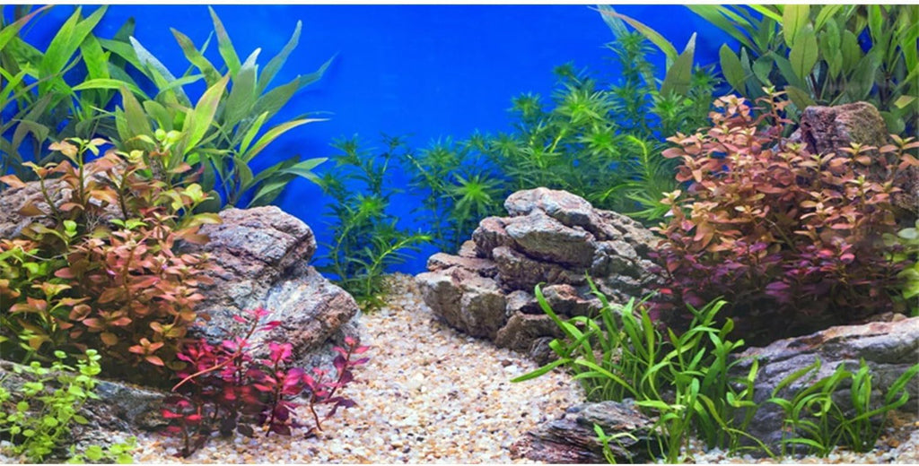 AWERT 60x24 inches Aquatic Plant Fish Tank Background Stone River Bed & Lake Aquarium Background Vinyl