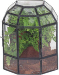 NCYP Half Dome Geometric Glass Terrarium with Door, Closed Succulents Planter Pot, Miniature Landscape Container, Indoor Tabletop Decor, Black (Terrarim Only)